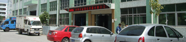 公司簡介