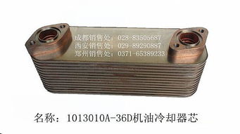 探索1013010 36D 芯碩 技術(shù)規(guī)格與應用前景